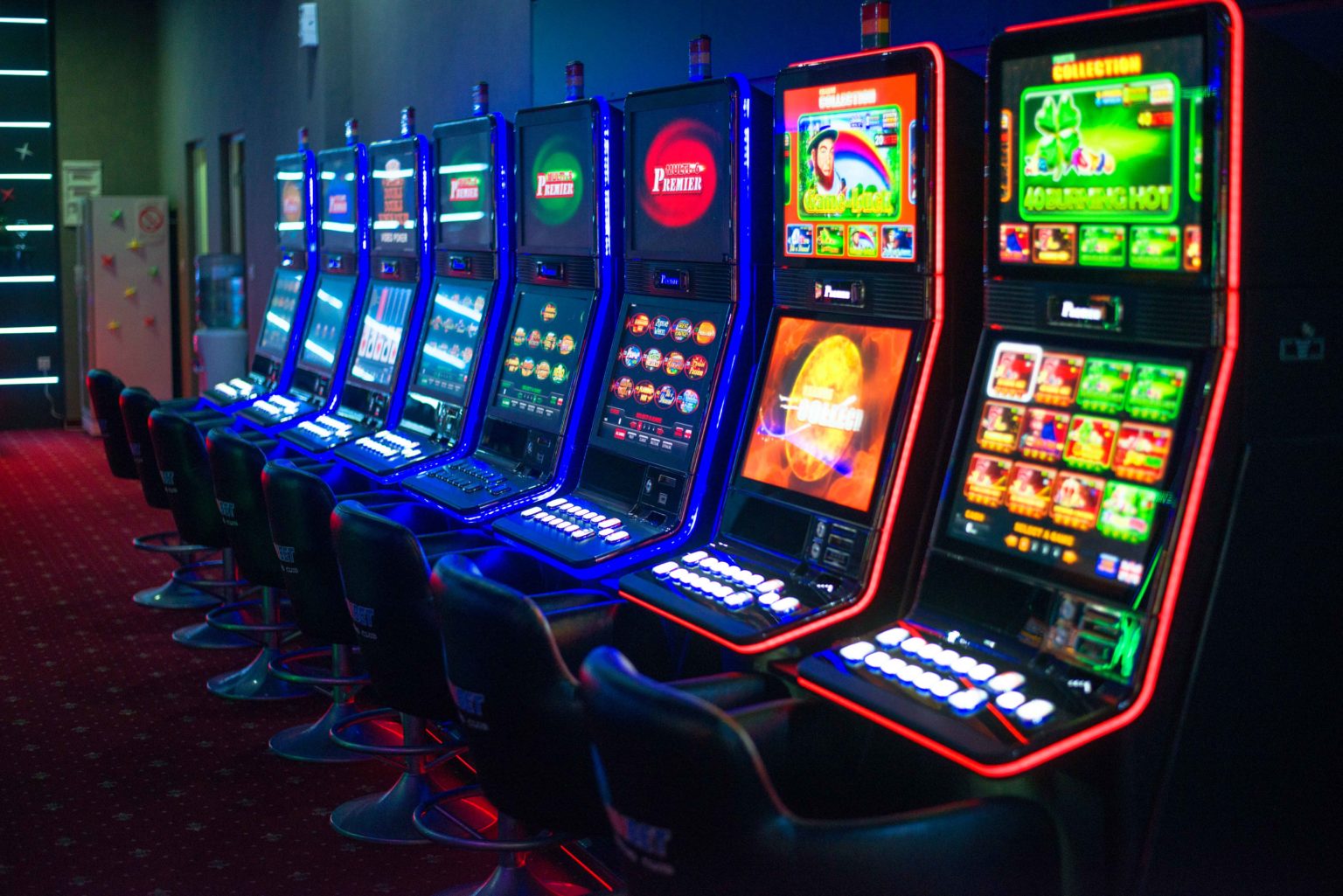 gaminator software, cafe casino program, casino software, gambling business, buy casino website