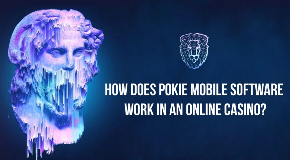 How does pokie mobile software work in an online casino?