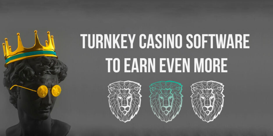 Turnkey Casino Software to Earn Even More