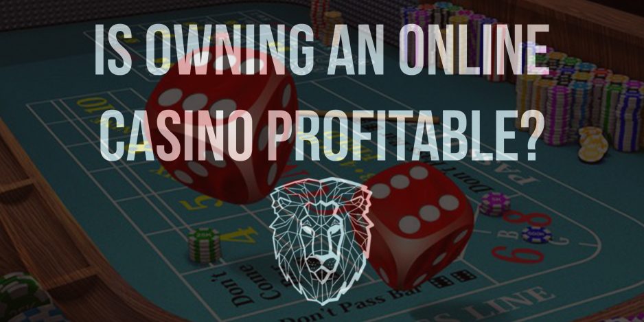Is Owning an Online Casino Profitable? An In-Depth Look at the Pros and Cons